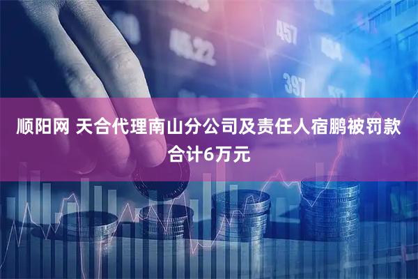 顺阳网 天合代理南山分公司及责任人宿鹏被罚款合计6万元